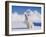 White Puppy in Snow-null-Framed Photographic Print