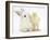 White Rabbit and Yellow Bantam Chick-Mark Taylor-Framed Photographic Print