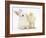 White Rabbit and Yellow Bantam Chick-Mark Taylor-Framed Photographic Print