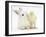 White Rabbit and Yellow Bantam Chick-Mark Taylor-Framed Photographic Print