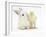 White Rabbit and Yellow Bantam Chick-Mark Taylor-Framed Photographic Print