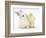 White Rabbit and Yellow Bantam Chick-Mark Taylor-Framed Photographic Print