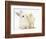 White Rabbit and Yellow Bantam Chick-Mark Taylor-Framed Photographic Print