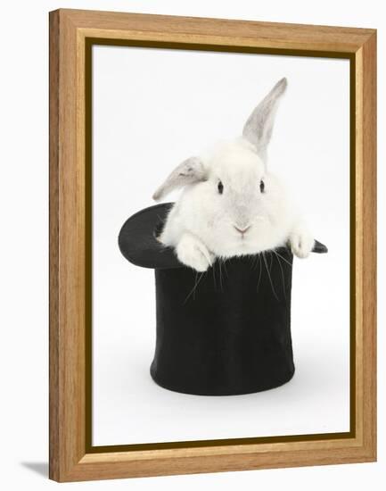 White Rabbit in a Black Top Hat-Mark Taylor-Framed Premier Image Canvas