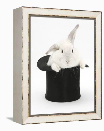 White Rabbit in a Black Top Hat-Mark Taylor-Framed Premier Image Canvas