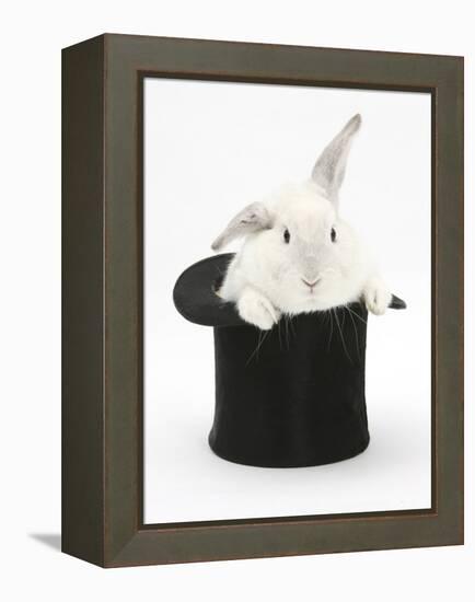 White Rabbit in a Black Top Hat-Mark Taylor-Framed Premier Image Canvas