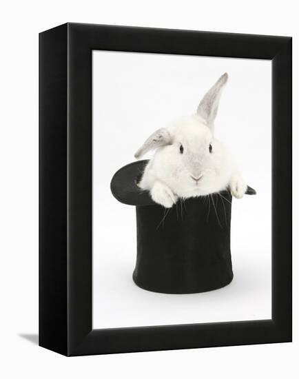 White Rabbit in a Black Top Hat-Mark Taylor-Framed Premier Image Canvas