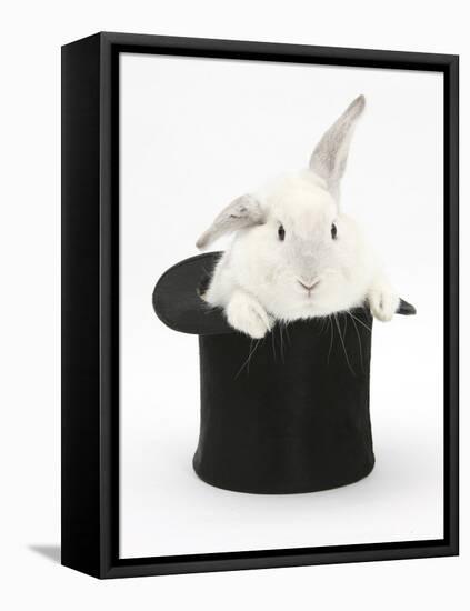 White Rabbit in a Black Top Hat-Mark Taylor-Framed Premier Image Canvas