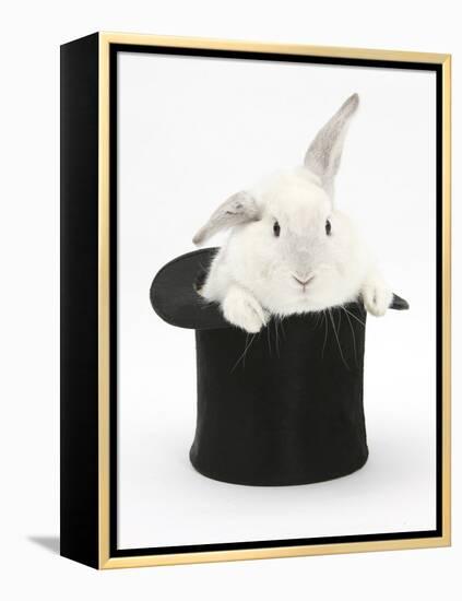 White Rabbit in a Black Top Hat-Mark Taylor-Framed Premier Image Canvas