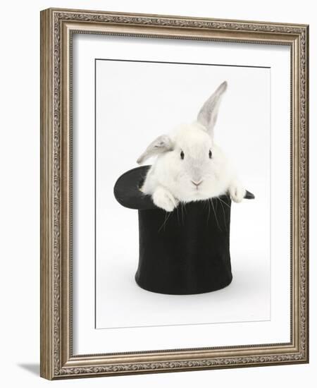 White Rabbit in a Black Top Hat-Mark Taylor-Framed Photographic Print