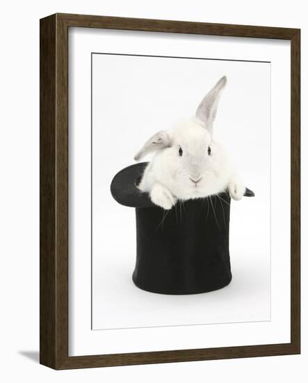 White Rabbit in a Black Top Hat-Mark Taylor-Framed Photographic Print