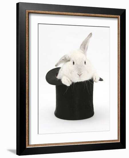 White Rabbit in a Black Top Hat-Mark Taylor-Framed Photographic Print