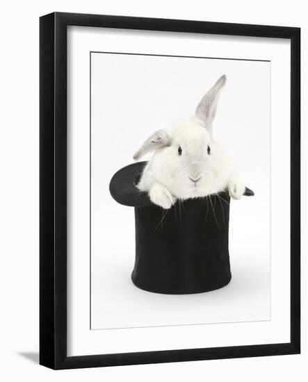 White Rabbit in a Black Top Hat-Mark Taylor-Framed Photographic Print