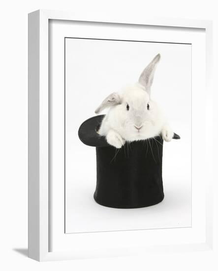 White Rabbit in a Black Top Hat-Mark Taylor-Framed Photographic Print