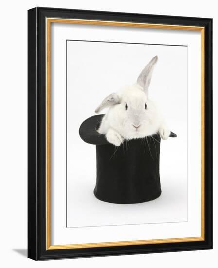 White Rabbit in a Black Top Hat-Mark Taylor-Framed Photographic Print