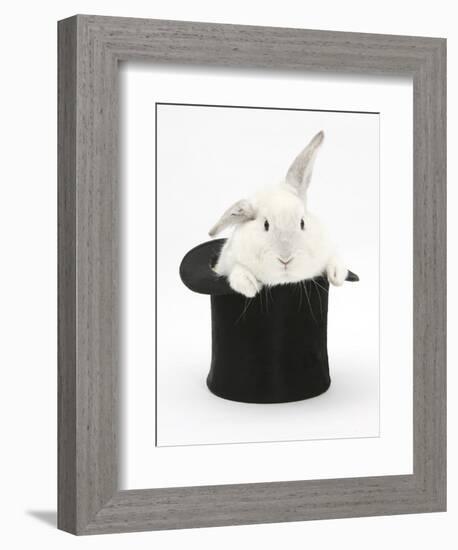 White Rabbit in a Black Top Hat-Mark Taylor-Framed Photographic Print