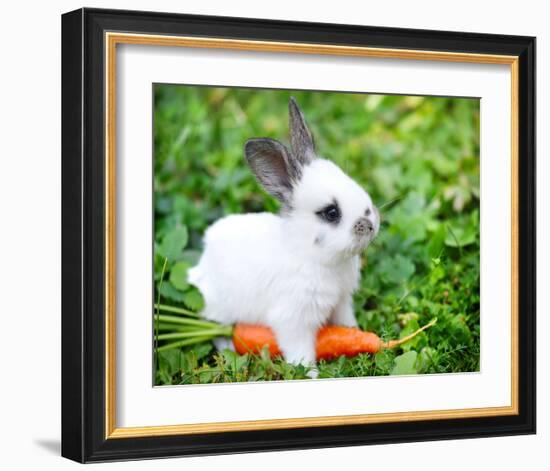 White Rabbit With a Carrot-null-Framed Art Print