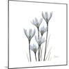 White Rain Lily 3-Albert Koetsier-Mounted Premium Giclee Print