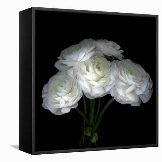 White Ranunculus Bouquet-Magda Indigo-Framed Premier Image Canvas