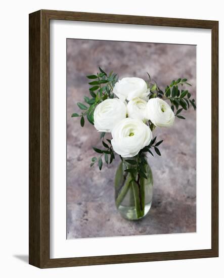 White Ranunculus Flowers in Vase Grey Background-Anna Pustynnikova-Framed Photographic Print