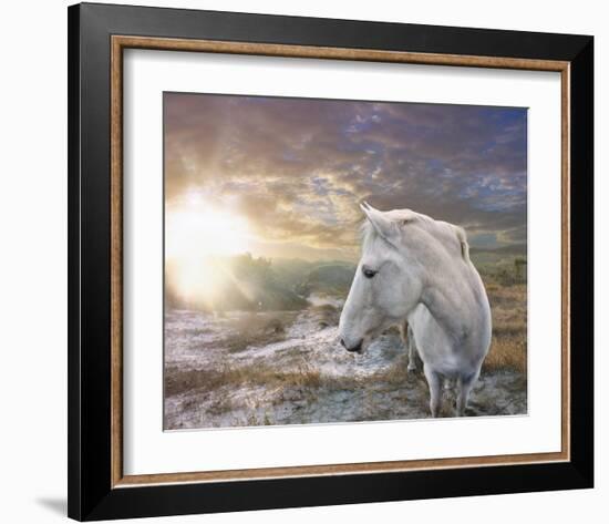 White Reflection-Steve Hunziker-Framed Art Print