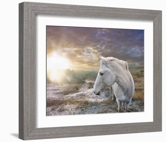 White Reflection-Steve Hunziker-Framed Art Print