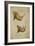 White Rhino and African Rhino, C.1860-John Hanning Speke-Framed Giclee Print