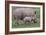 White Rhino and Baby-Lantern Press-Framed Art Print