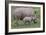 White Rhino and Baby-Lantern Press-Framed Art Print