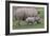 White Rhino and Baby-Lantern Press-Framed Art Print