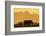 White rhino, Ceratotherium simum, calf and cow, Zimanga private game reserve, KwaZulu-Natal-Ann & Steve Toon-Framed Photographic Print