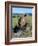 White Rhino (Ceratotherium Simum) Cooling Off, Itala Game Reserve, South Africa, Africa-Steve & Ann Toon-Framed Photographic Print