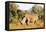 White rhino (Ceratotherium simum), Kruger National Park, South Africa, Africa-Christian Kober-Framed Premier Image Canvas