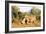 White rhino (Ceratotherium simum), Kruger National Park, South Africa, Africa-Christian Kober-Framed Photographic Print