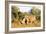 White rhino (Ceratotherium simum), Kruger National Park, South Africa, Africa-Christian Kober-Framed Photographic Print