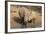 White Rhino (Ceratotherium Simum) with Calf, Mkhuze Game Reserve, Kwazulu-Natal-Ann & Steve Toon-Framed Photographic Print