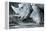 White Rhino In Black And White Eating-goinyk-Framed Premier Image Canvas