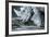 White Rhino In Black And White Eating-goinyk-Framed Photographic Print