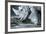 White Rhino In Black And White Eating-goinyk-Framed Photographic Print