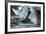 White Rhino In Black And White Eating-goinyk-Framed Photographic Print