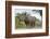 White Rhino, Sabi Sabi Reserve, South Africa-Paul Souders-Framed Photographic Print