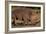 White Rhino-Howard Ruby-Framed Photographic Print