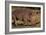 White Rhino-Howard Ruby-Framed Photographic Print