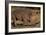 White Rhino-Howard Ruby-Framed Photographic Print