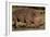 White Rhino-Howard Ruby-Framed Photographic Print