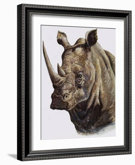 White Rhinoceros, 1980-English School-Framed Giclee Print