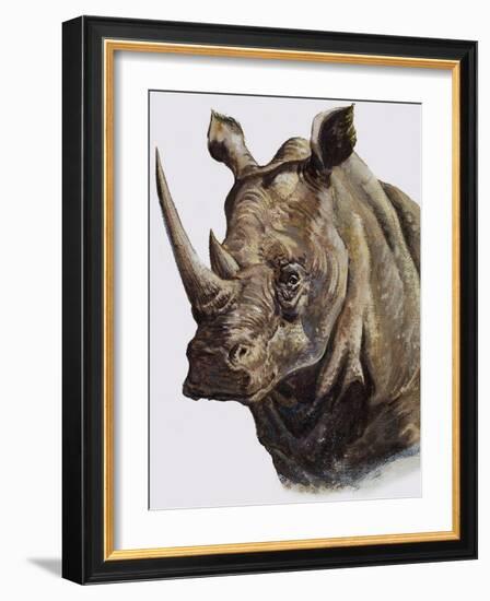 White Rhinoceros, 1980-English School-Framed Giclee Print