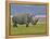 White Rhinoceros and Lesser Flamingos, Lake Nakuru National Park, Kenya-Adam Jones-Framed Premier Image Canvas