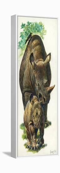 White Rhinoceros Ceratotherium Simum with a Young-null-Framed Premier Image Canvas