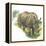 White Rhinoceros Ceratotherium Simum-null-Framed Premier Image Canvas